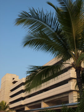 P1263918