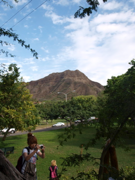 P1294203