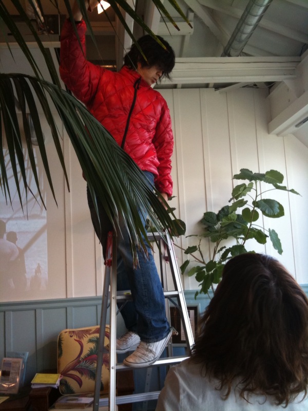 写真10