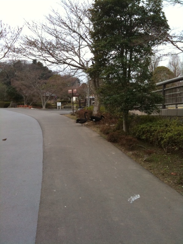 写真21