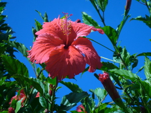 P1000921