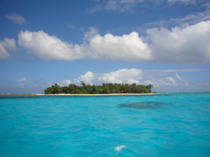 P1000952